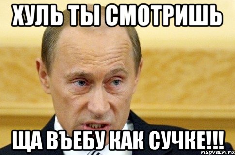 Хуль ты смотришь Ща въебу как сучке!!!, Мем путин