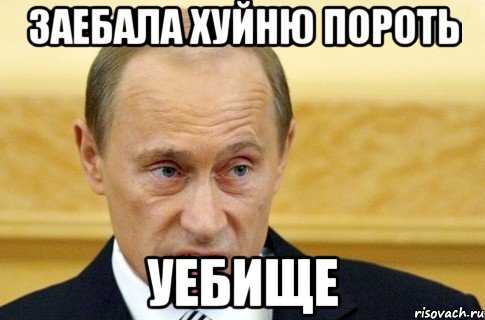 заебала хуйню пороть УЕБИЩЕ, Мем путин