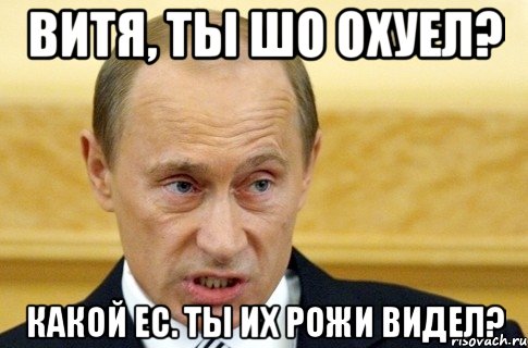 Витя, ты шо охуел? Какой ЕС. ты их рожи видел?, Мем путин