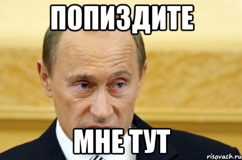 ПОПИЗДИТЕ МНЕ ТУТ, Мем путин