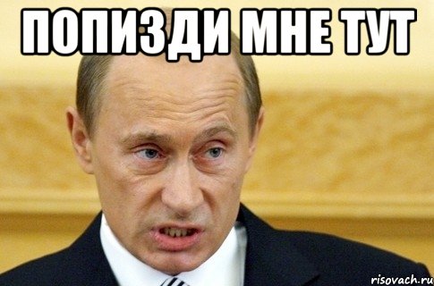 попизди мне тут , Мем путин