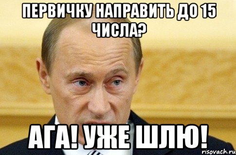 Первичку направить до 15 числа? Ага! Уже шлю!, Мем путин