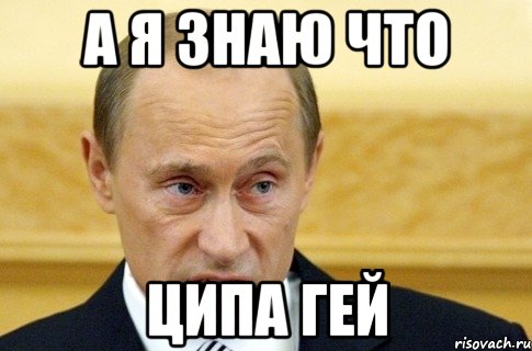 а я знаю что ЦИПА гей, Мем путин