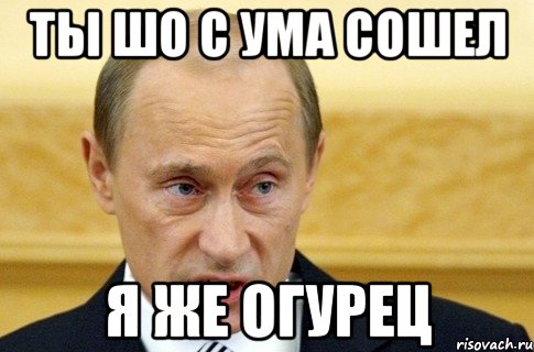 Ты шо с ума сошел Я же огурец, Мем путин