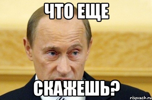 что еще скажешь?, Мем путин