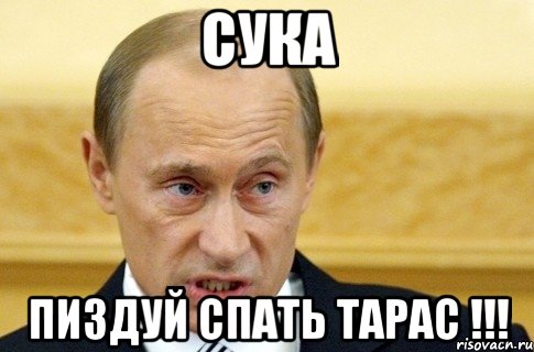 СУКА Пиздуй спать Тарас !!!, Мем путин