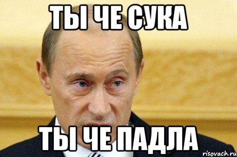 ты че сука ты че падла, Мем путин