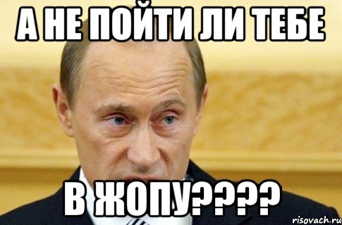 А не пойти ли тебе в жопу????, Мем путин