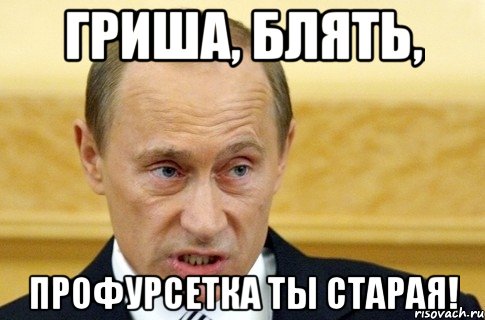 ГРИША, БЛЯТЬ, ПРОФУРСЕТКА ТЫ СТАРАЯ!, Мем путин