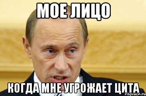 Мое лицо Когда мне угрожает цита, Мем путин