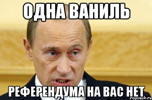 Одна ваниль Референдума на вас нет, Мем путин