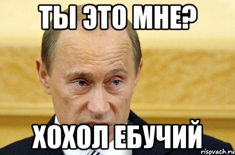 Ты это мне? Хохол ебучий, Мем путин