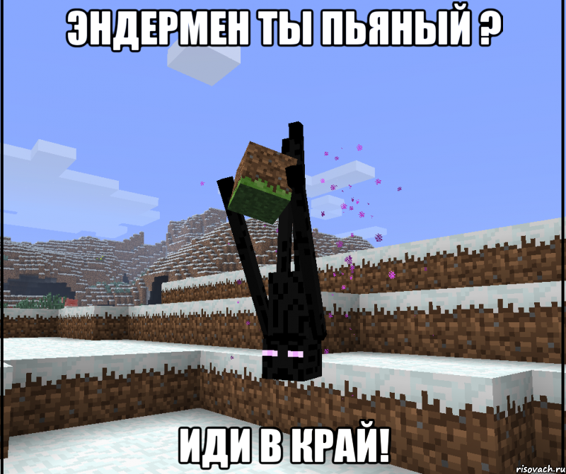 Эндермен ты пьяный ? Иди в край!