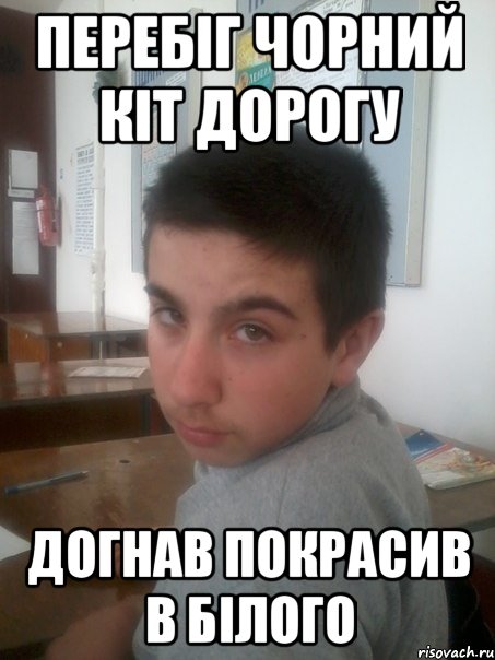 Перебiг чорний кiт дорогу Догнав покрасив в бiлого