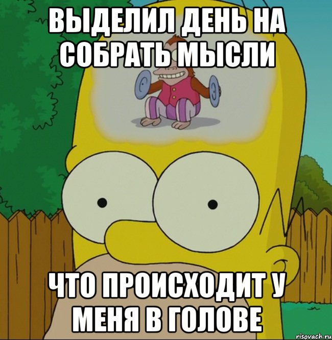 выделил день на собрать мысли что происходит у меня в голове, Мем  Гомер Симпсон