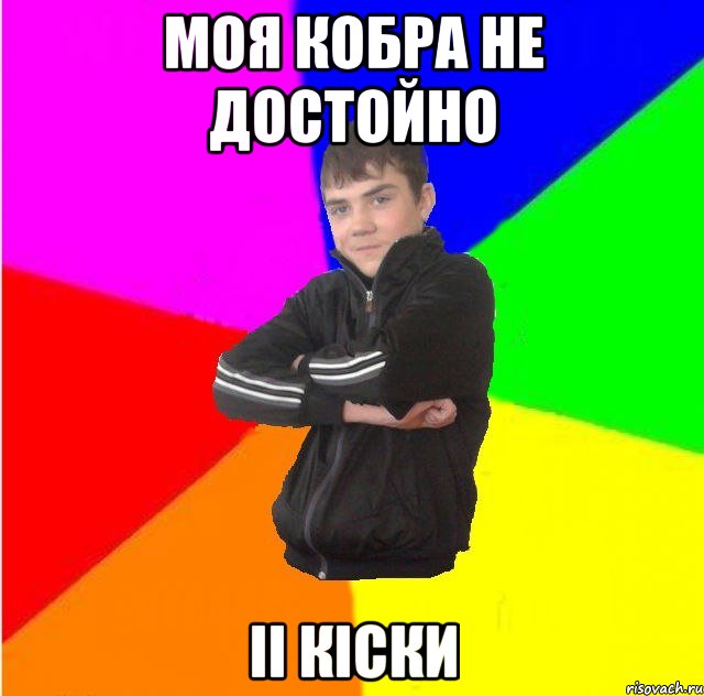 моя кобра не достойно ii кiски