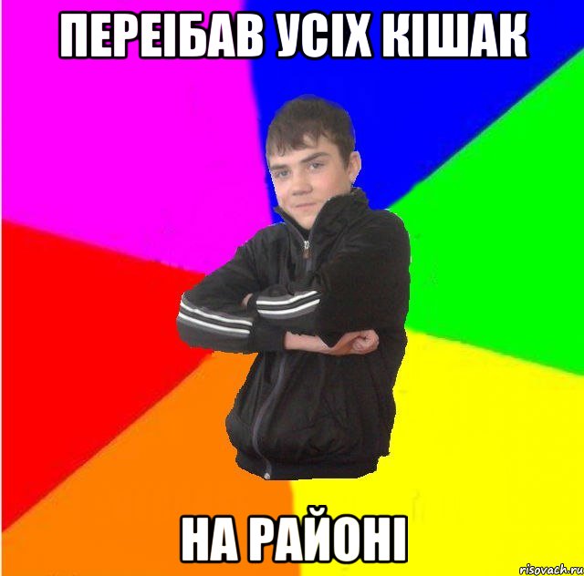 Переiбав усiх кiшак на районi