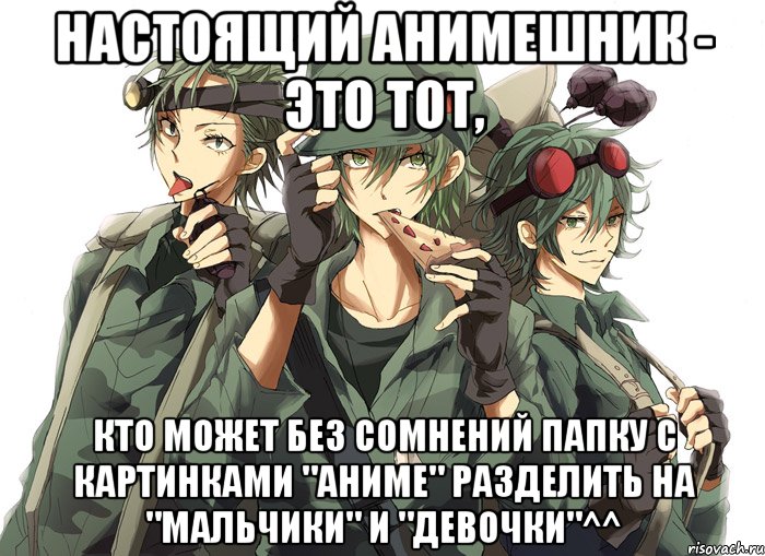 Настоящий анимешник - это тот, кто может без сомнений папку с картинками "Аниме" разделить на "Мальчики" и "Девочки"^^
