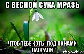С весной сука мразь Чтоб тебе коты под окнами насрали