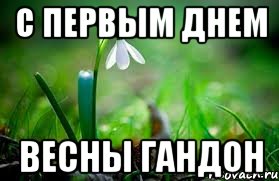 С первым днем весны гандон