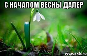 с началом весны Далер 