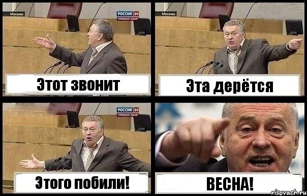 Этот звонит Эта дерётся Этого побили! ВЕСНА!, Комикс с Жириновским