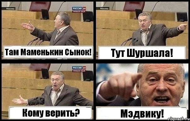 Там Маменькин Сынок! Тут Шуршала! Кому верить? Мэдвику!, Комикс с Жириновским