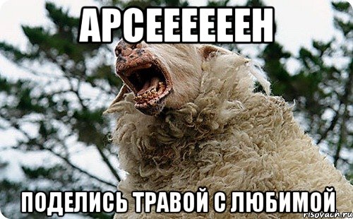 арсеееееен поделись травой с любимой
