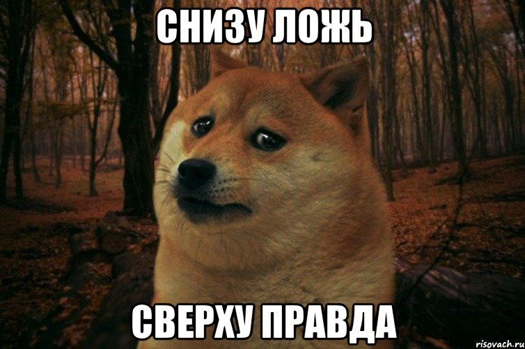 Снизу ложь Сверху правда