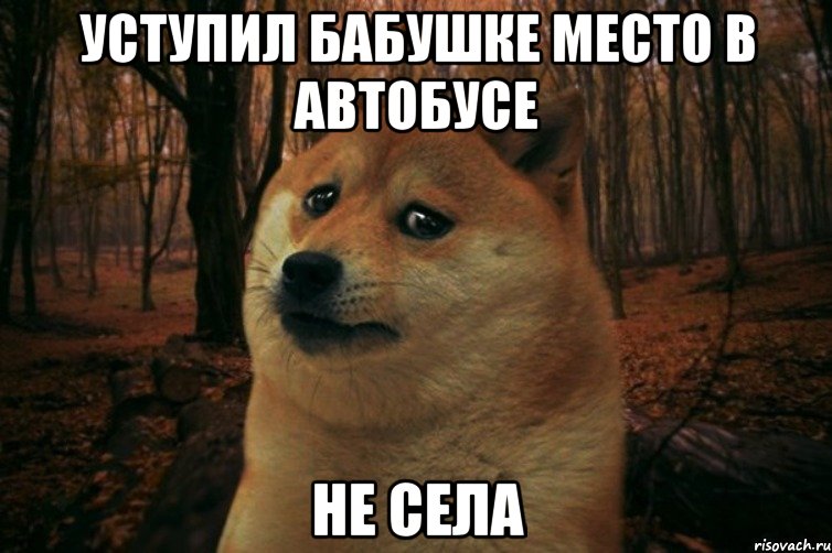 Уступил бабушке место в автобусе Не села, Мем SAD DOGE