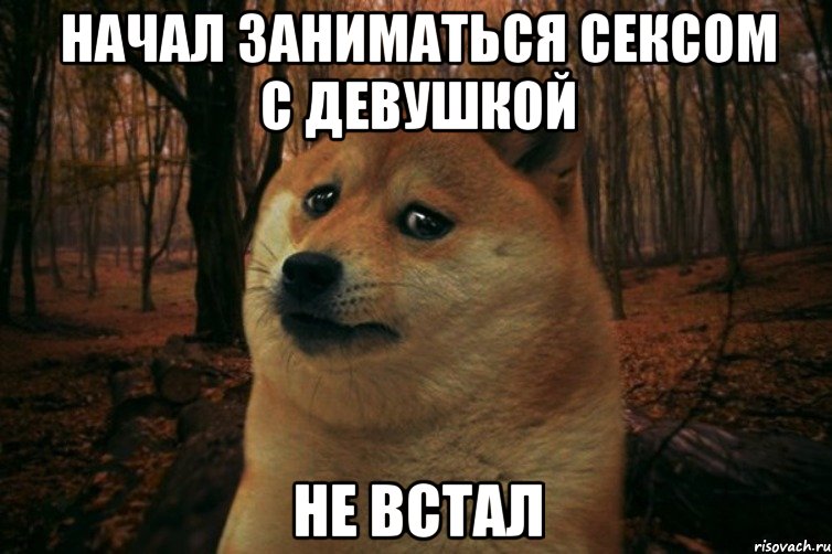 Начал заниматься сексом с девушкой не встал, Мем SAD DOGE