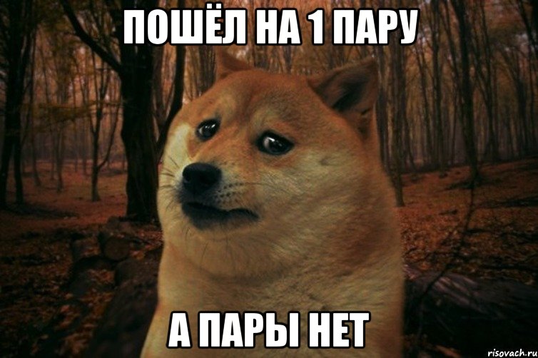 ПОШЁЛ НА 1 ПАРУ А ПАРЫ НЕТ