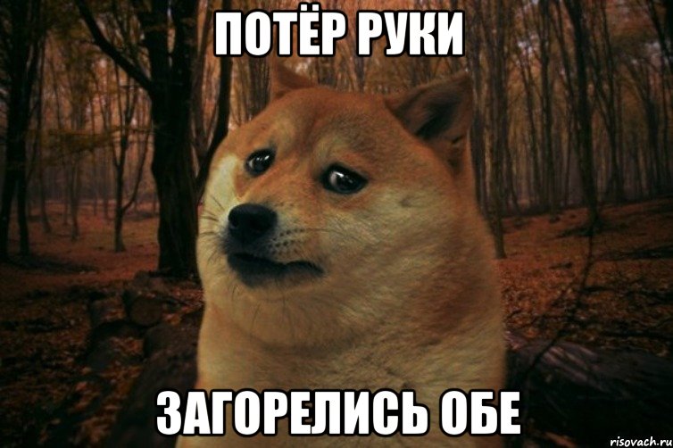 Потёр руки Загорелись обе, Мем SAD DOGE