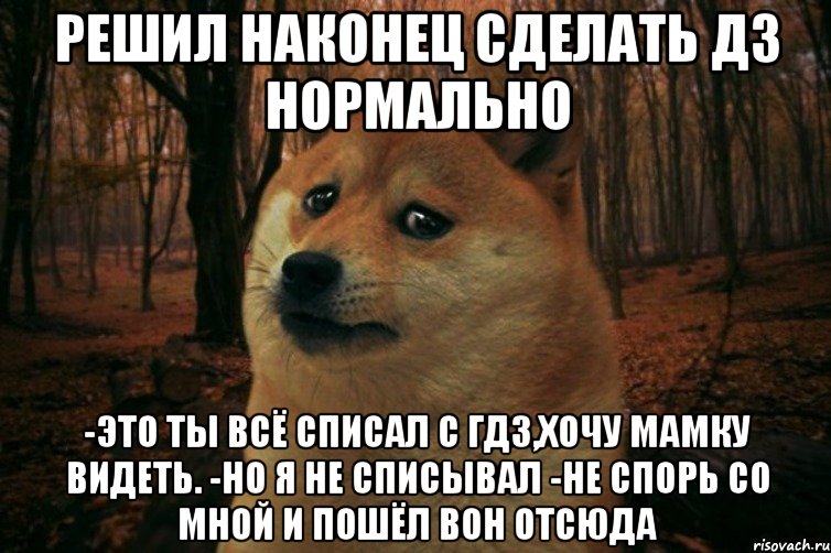 Решил наконец сделать дз нормально -Это ты всё списал с ГДЗ,хочу мамку видеть. -Но я не списывал -Не спорь со мной и пошёл вон отсюда, Мем SAD DOGE