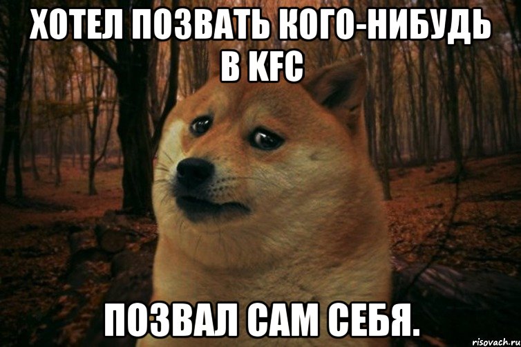 Хотел позвать кого-нибудь в KFC Позвал сам себя., Мем SAD DOGE