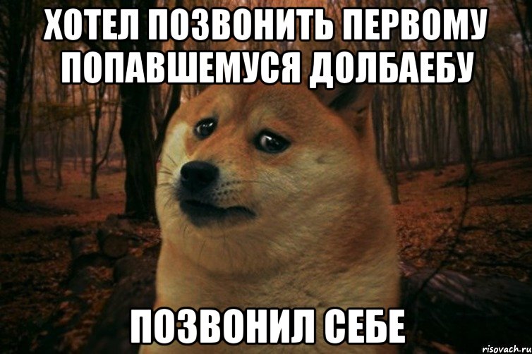 Хотел позвонить первому попавшемуся долбаебу Позвонил себе, Мем SAD DOGE