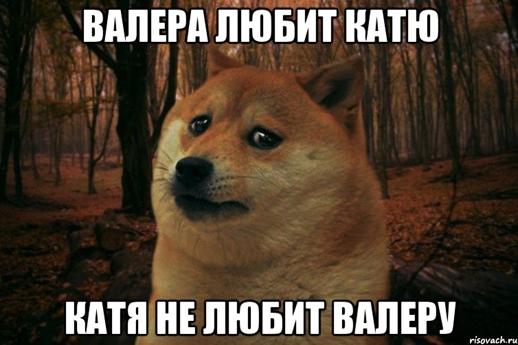 Валера любит Катю Катя не любит Валеру, Мем SAD DOGE