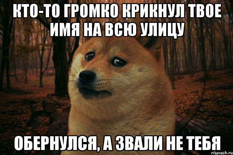 КТО-ТО ГРОМКО КРИКНУЛ ТВОЕ ИМЯ НА ВСЮ УЛИЦУ ОБЕРНУЛСЯ, А ЗВАЛИ НЕ ТЕБЯ, Мем SAD DOGE