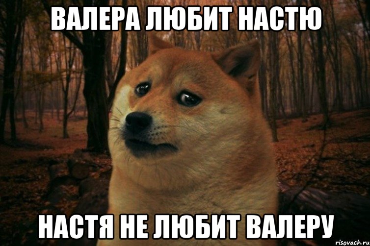 Валера любит Настю Настя не любит Валеру, Мем SAD DOGE