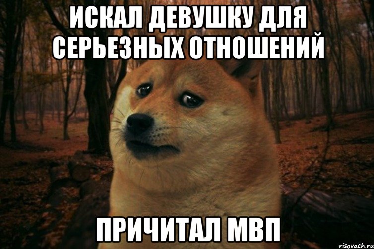 Искал девушку для Серьезных отношений Причитал МВП, Мем SAD DOGE