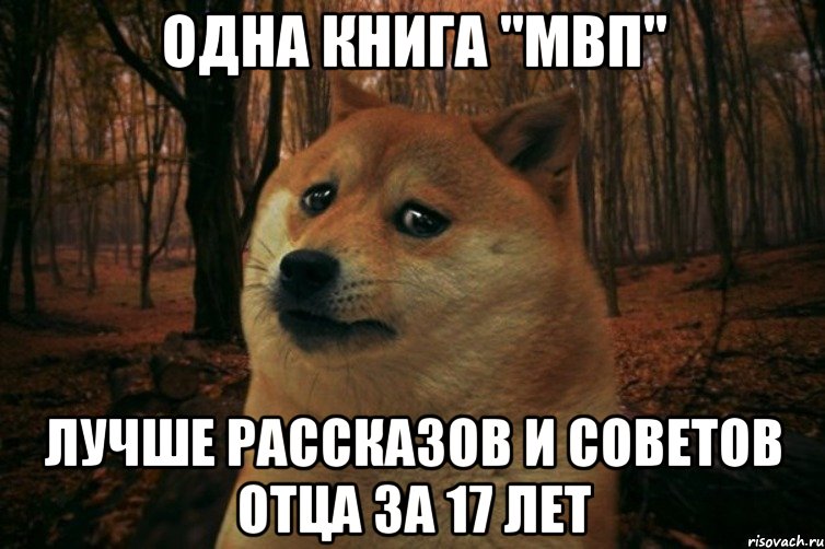 одна книга "МВП" Лучше рассказов и советов отца за 17 лет, Мем SAD DOGE