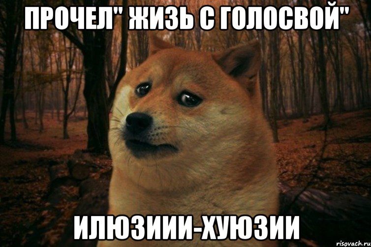 Прочел" Жизь с Голосвой" Илюзиии-Хуюзии, Мем SAD DOGE