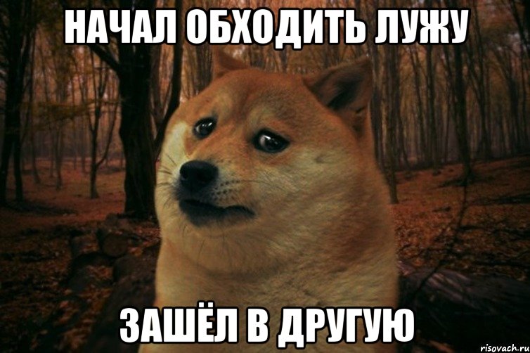 начал обходить лужу зашёл в другую, Мем SAD DOGE