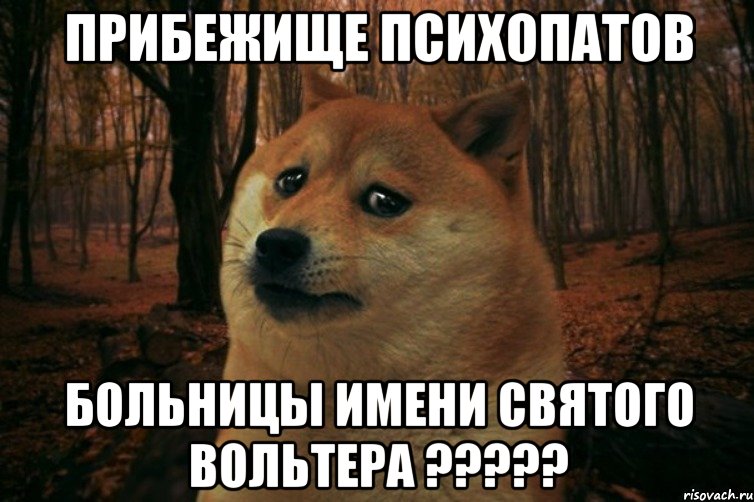 Прибежище психопатов больницы имени Святого Вольтера ?????, Мем SAD DOGE