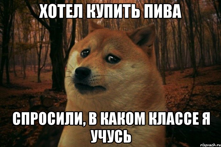 хотел купить пива спросили, в каком классе я учусь, Мем SAD DOGE