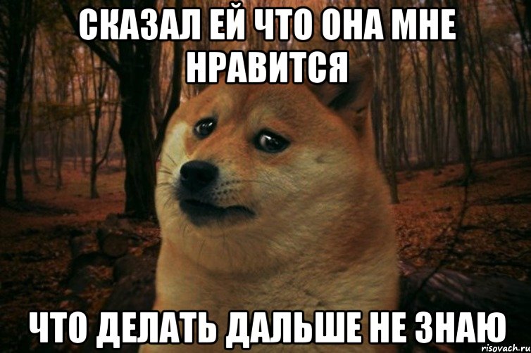 сказал ей что она мне нравится что делать дальше не знаю, Мем SAD DOGE