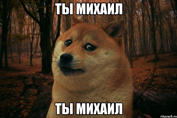 ты михаил ты михаил, Мем SAD DOGE