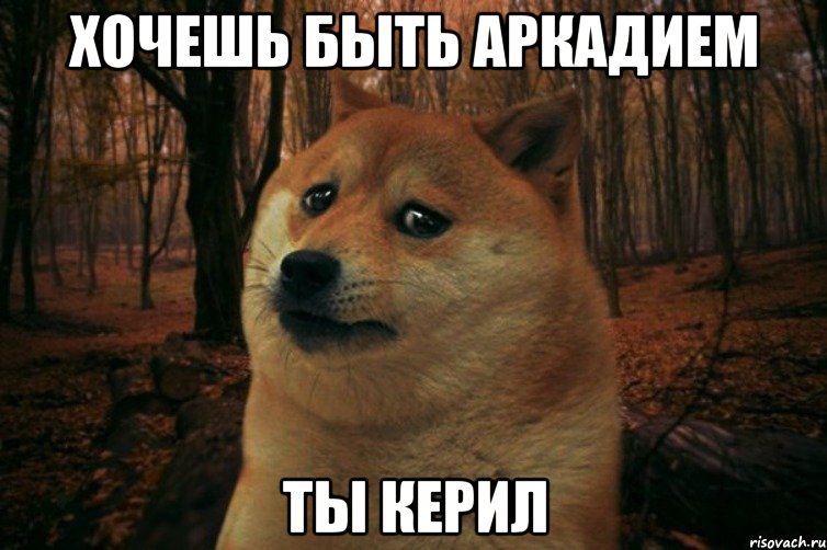 хочешь быть аркадием ты керил, Мем SAD DOGE