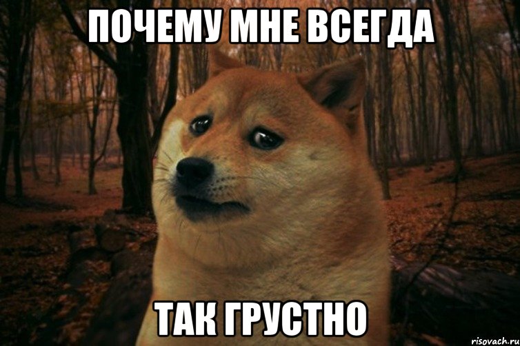 Почему мне всегда так грустно, Мем SAD DOGE