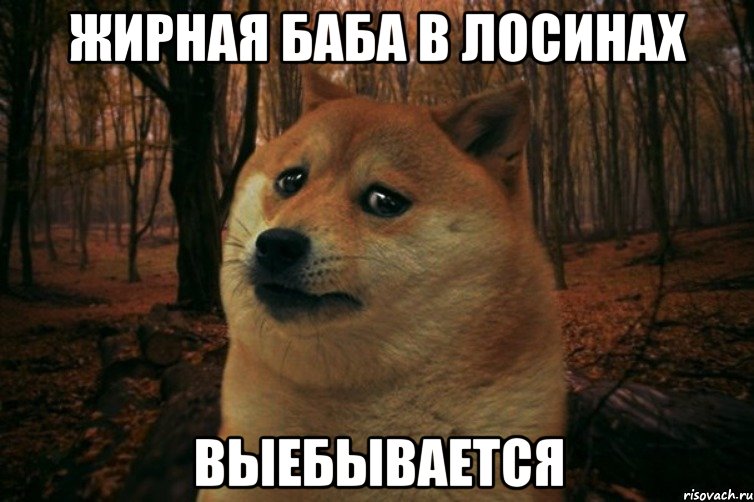 жирная баба в лосинах выебывается, Мем SAD DOGE